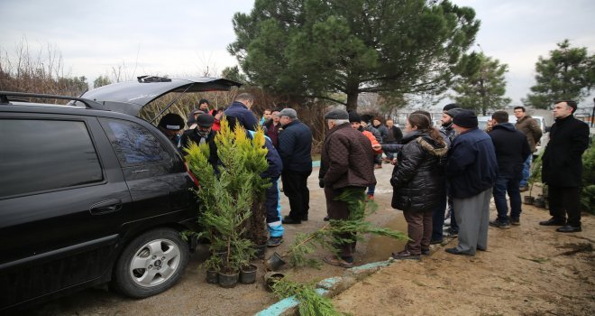 Fidanlar Yeniden Yeşil Bursa İçin Toprakla Buluştu