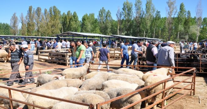 Kurban Pazarı Hareketlendi