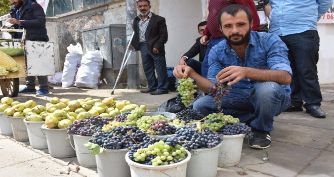 Muş Üzümüne İlgi Gün Geçtikçe Artıyor