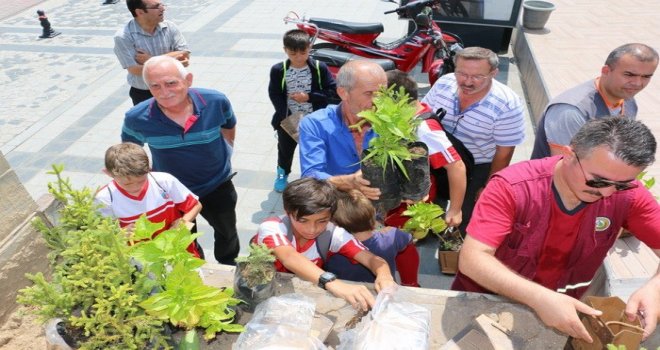 Düzceli Vatandaşlara Fidan Dağıtıldı