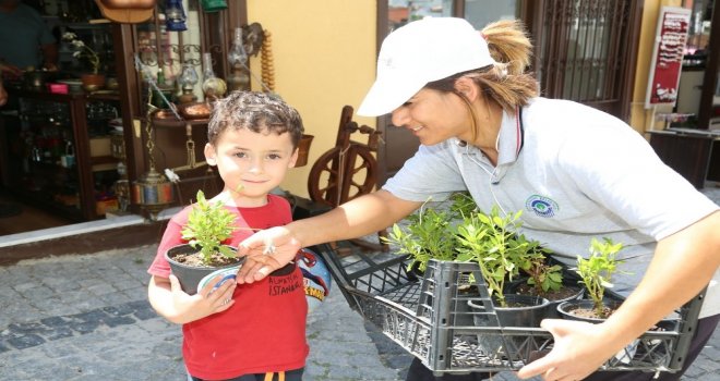 Tarihi Odunpazarı Bölgesi Çiçek Açtı