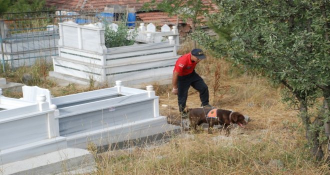 Evrimi, Kadavra Köpeği Mavi Mezarlıkta Aradı