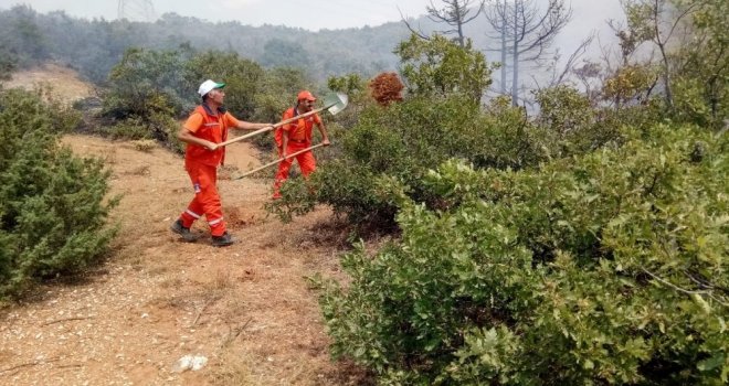 Bingölde Ormanlık Alanda Yangın