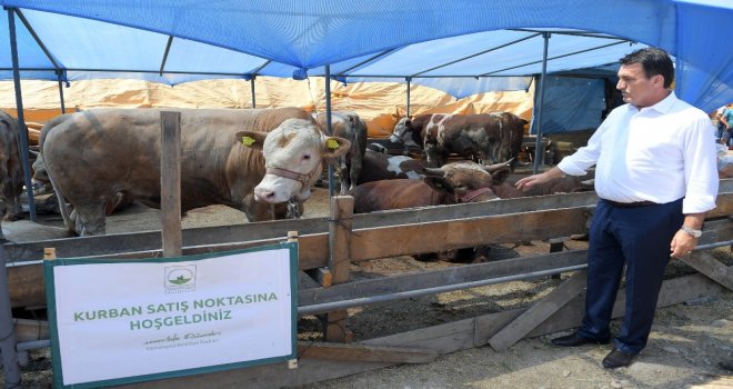 Başkan Dündar Kurban Pazarını Gezdi