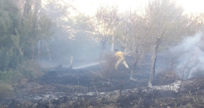 Kebanda Yangın, Yaklaşık 150 Dönüm Arazi Zarar Gördü