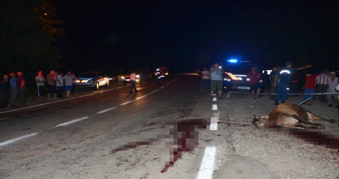 Orduda Kaza: 3 Yaralı