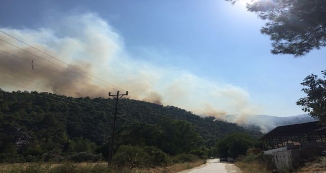 Muğlada Orman Yangını Yerleşim Alanlarını Tehdit Ediyor