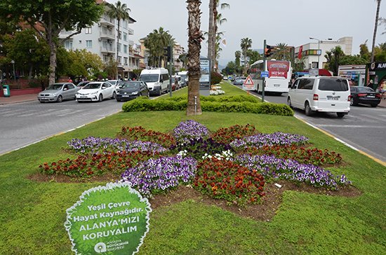 Alanyaya 300 Bin Çiçek