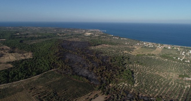 Çanakkalenin Yanan Ciğerleri Havadan Görüntülendi