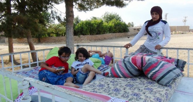 Sıcaklık Bunalttı, Yataklar Damlara Taşındı