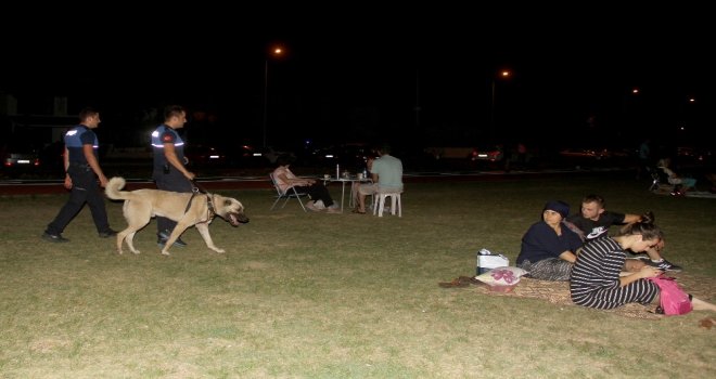 Aracın Arkasına Bağlayıp Sürüklenen Köpek Turizm Zabıtası Oldu