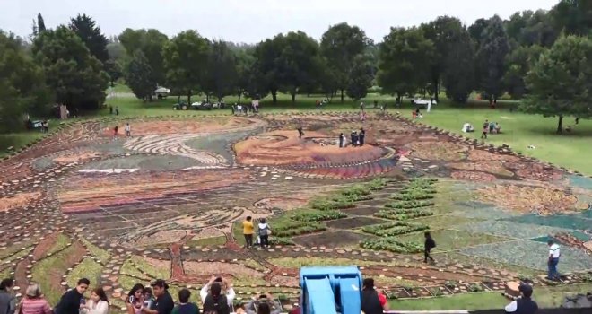 Meksikada Usta Zanaatkarlardan Devasa Organik Halı