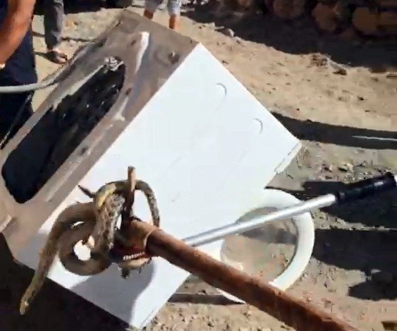 Çamaşır Makinesine Giren Yılanı İtfaiye Çıkardı