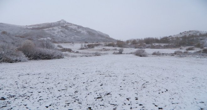 Posof Beyaza Büründü