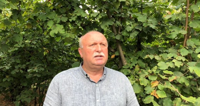 Üreticisinin Kabusu ‘Amerikan Beyaz Kelebeği Fındıkları Sardı