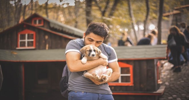 Hayvanlara Akademisyen Ve Öğrenci Şefkati