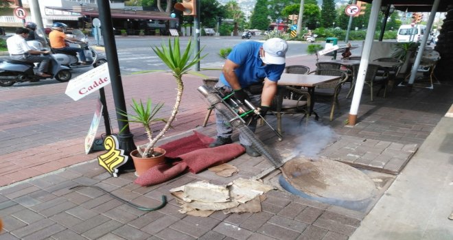 Alanyada Sinekle Mücadele Hız Kesmiyor