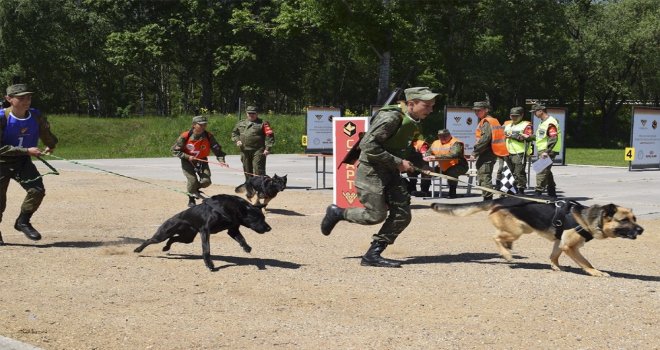 Türk Kinoloji Uzmanları Moskovada Yarışmaya Katıldı
