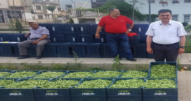Bu Yeşil Fasulyenin Kilosu 90 Tlden Satıldı