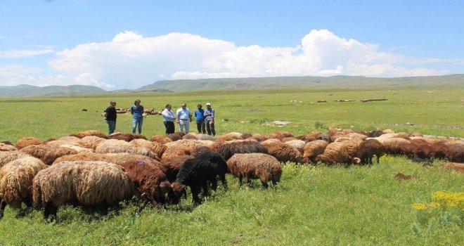 Iğdırda Üreten Çiftçi Desteklenecek