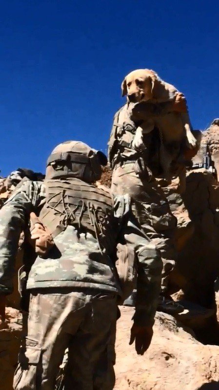 Mehmetçik Yay İle Dağlarda Terörist Avında