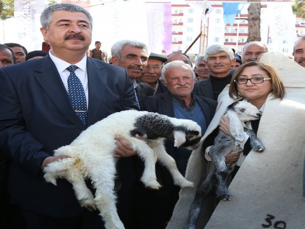 Gaziantep Büyükşehirden Üreticiye  Destek!