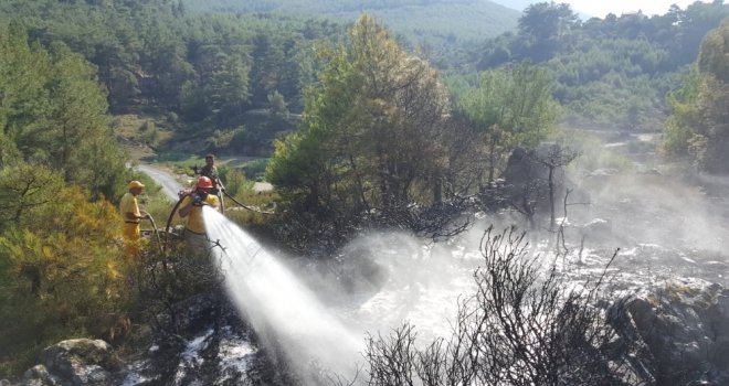 Orman Yangını Yerleşim Yerine Sıçramadan Söndürüldü