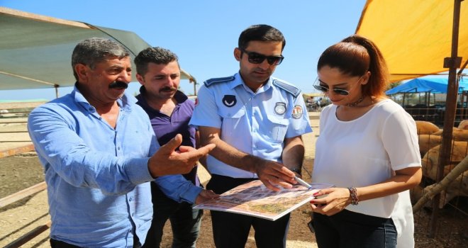 Mezitli Belediyesi, Kurban Bayramına Hazır