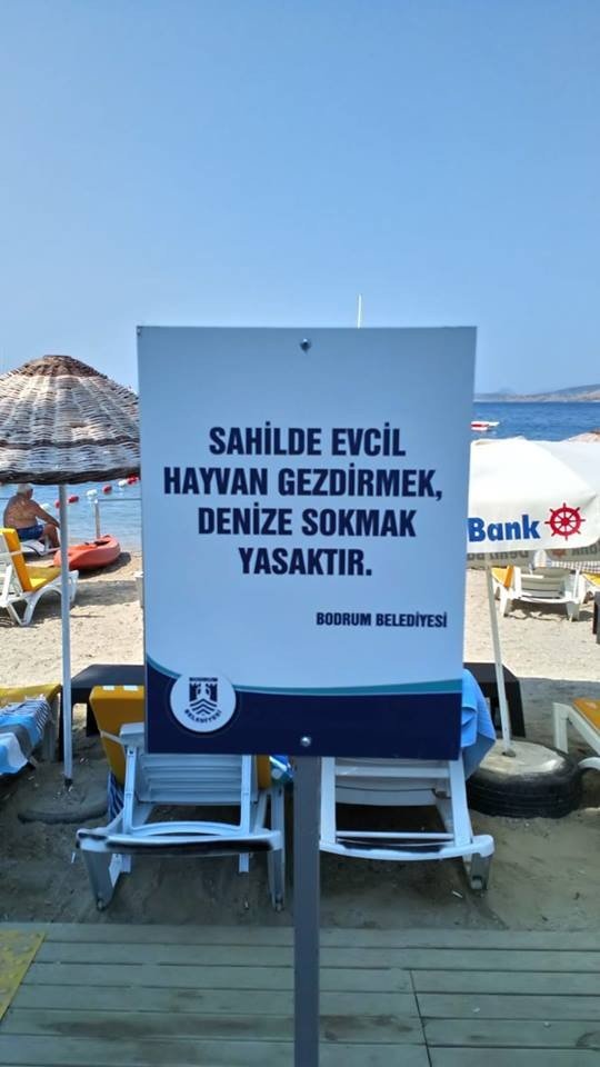 Bergüzal Korelin Tabela Tepkisinin Ardından Bodrum Belediyesinden Açıklama