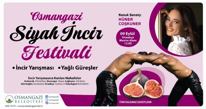 Osmangazide Siyah İncirler Yarışacak