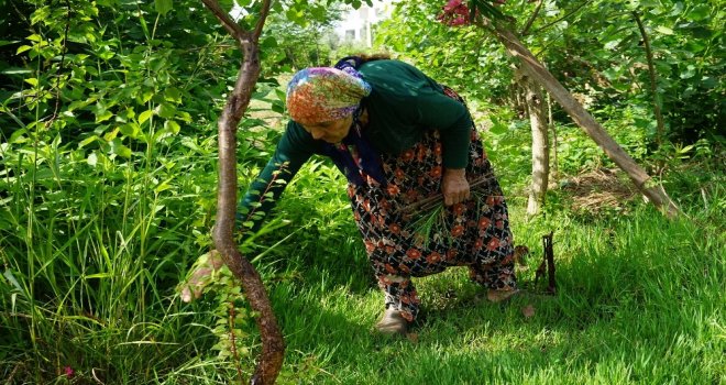 Kadın Üretici Pazarı Hayatını Değiştirdi