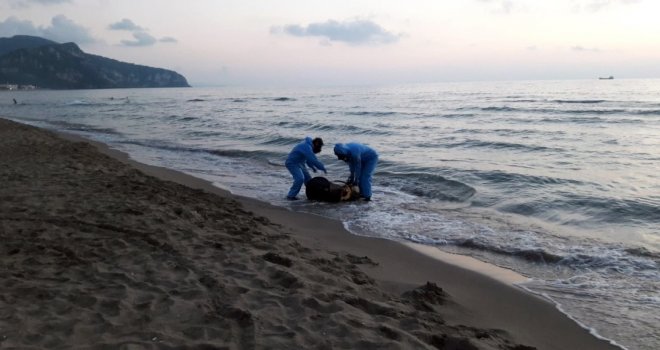 Sahile Vuran Varil Ekipleri Alarma Geçirdi