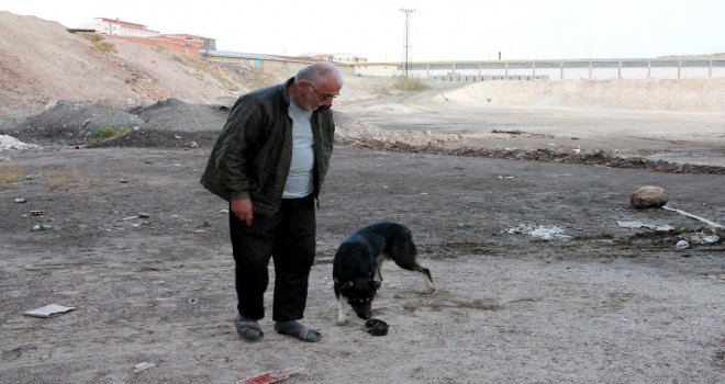 İtfaiyeden Yavru Köpek İçin Seferberlik