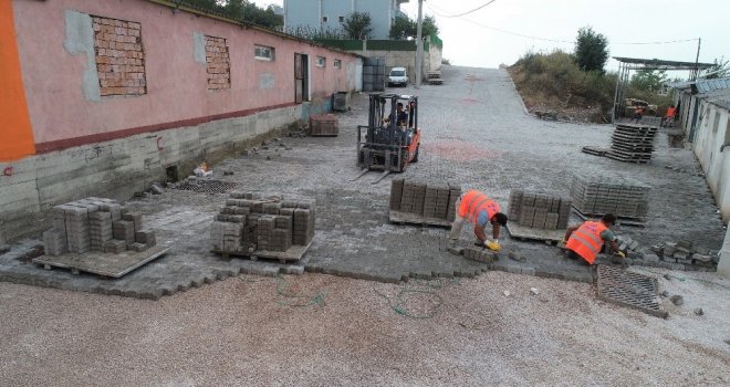 Başiskeleye Yeni Yollar