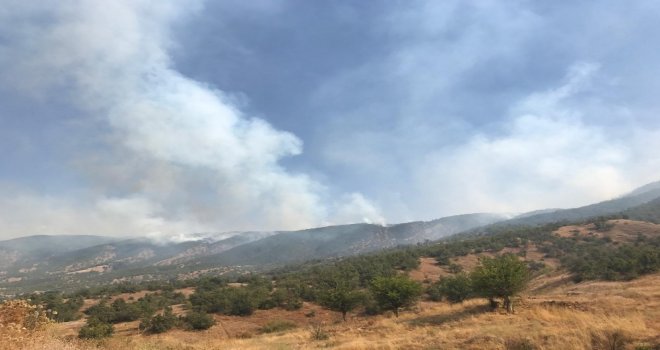 Bingölde 4 Gündür Süren Yangın Kontrol Altına Alındı