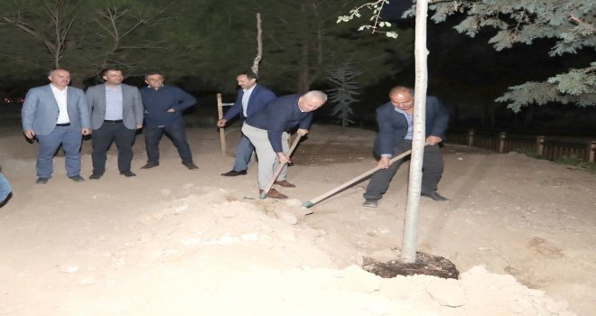 Ak Parti Heyeti Ziyaretin Ardından Ağaç Dikti