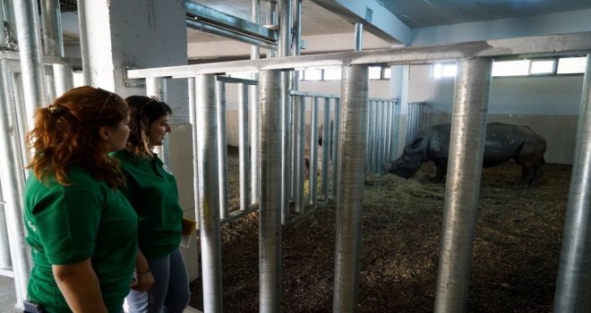 Bursanın Yeni Misafirlerinin Sağlık Durumu İyi