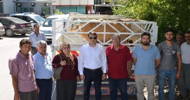 Genç Çiftçilere 395 Baş Hayvan Teslim Edildi