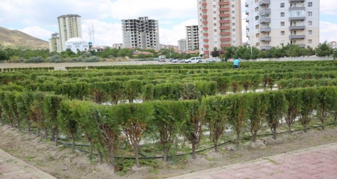 Başkan Büyükkılıç Labirent Parkında