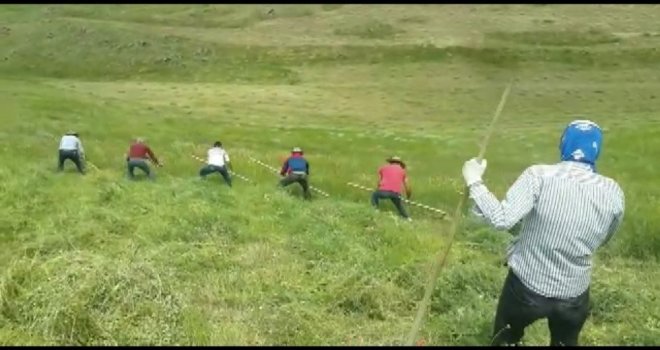 Doğu Anadoluda Asırlık Tırpan Geleneği Yaşatılmaya Devam Ediliyor