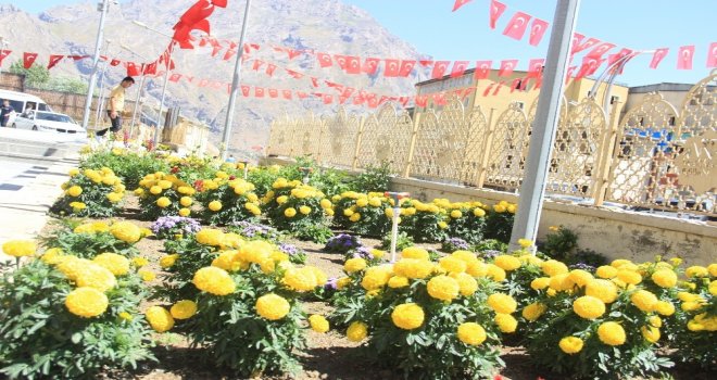 Sümbül Dağı Gölgesinde Bir Renk Cümbüşü