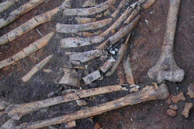 4 Bin 500 Yıl Öncesine Ait Kemiklerde Gizemli İzler