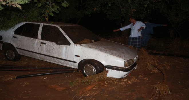 Sel 120 Hayvanı Telef Etti