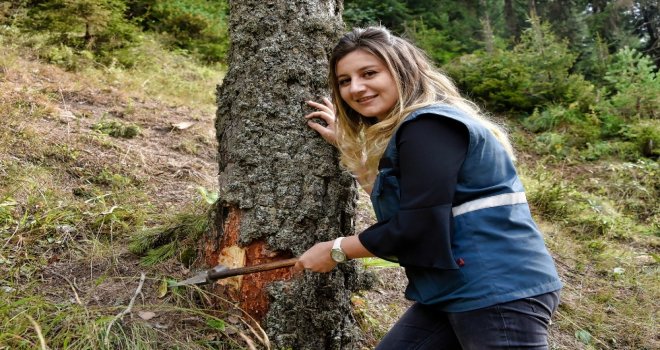 Zigananın Ormanları Ondan Soruluyor