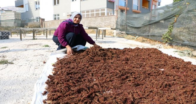 Kahramanmaraşta Kadın Girişimciler İçin Program