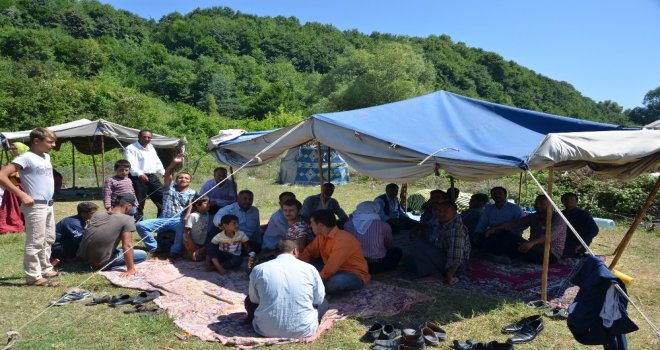 Batı Karadenize Fındık Hasadı İçin 10 Bin Mevsimlik İşçi Bekleniyor