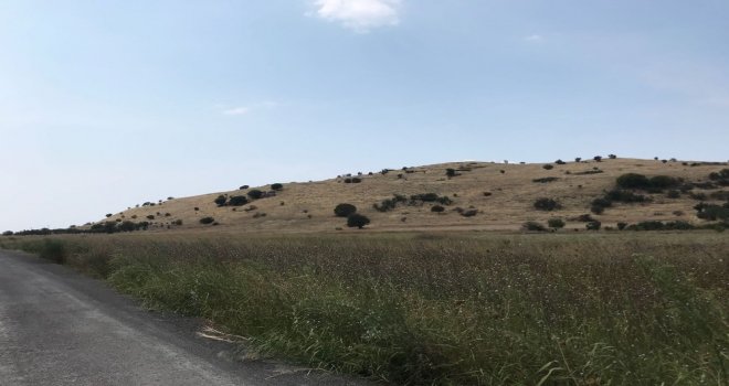 Myrina Ve Gryneionda Yüzey Araştırmalarına Başlandı