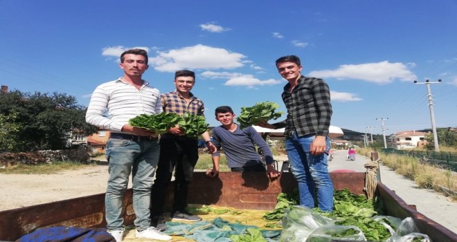 Afyonkarahisarlı Marulcu Fenomen Oldu