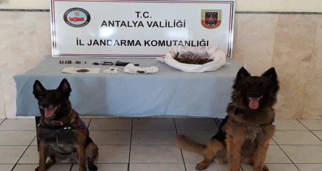 Antalyada Uyuşturucu Operasyonuna 17 Tutuklama