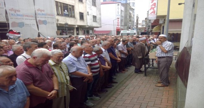 Fındık Altı Temizlerken Arının Soktuğu Adam Hayatını Kaybetti